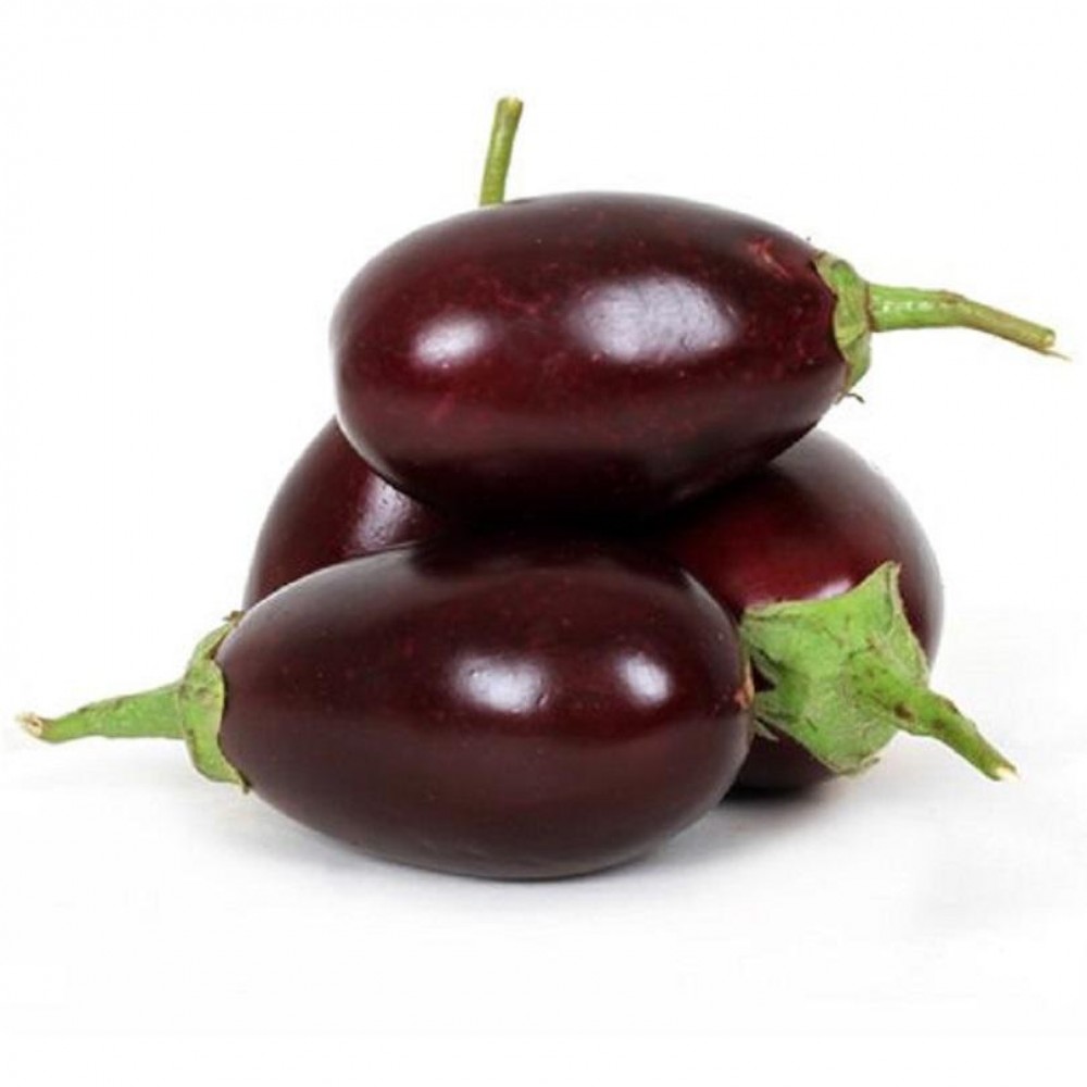 Pink Ravaya - Brinjal