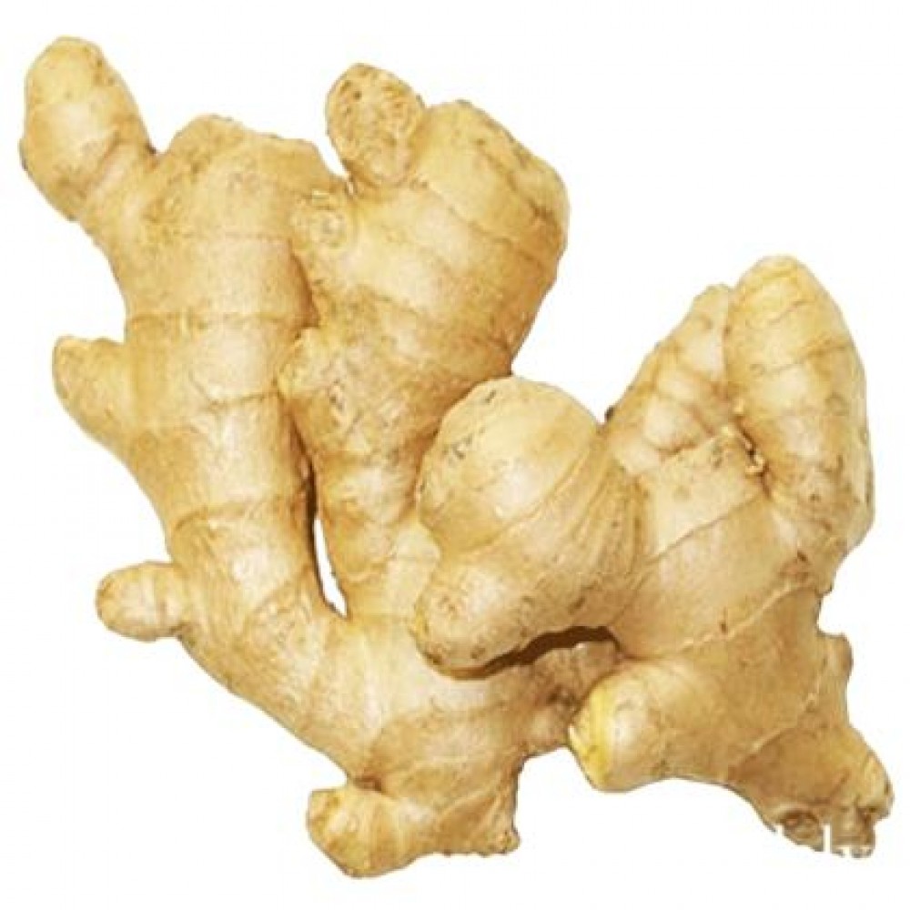Ginger Indian