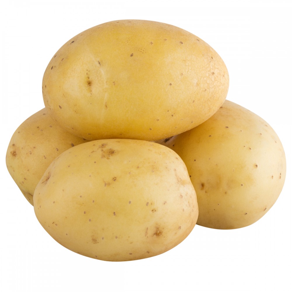 Washed White Potato