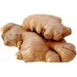 Ginger
