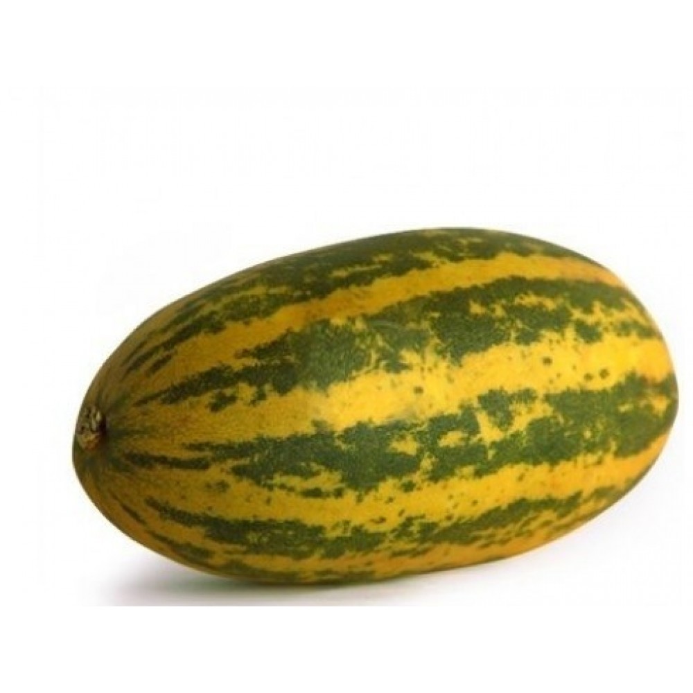 Indian Cucumber 