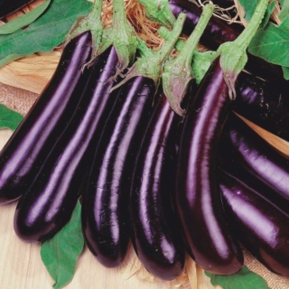 Long Ravaya(long brinjal)