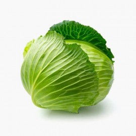  Cabbage