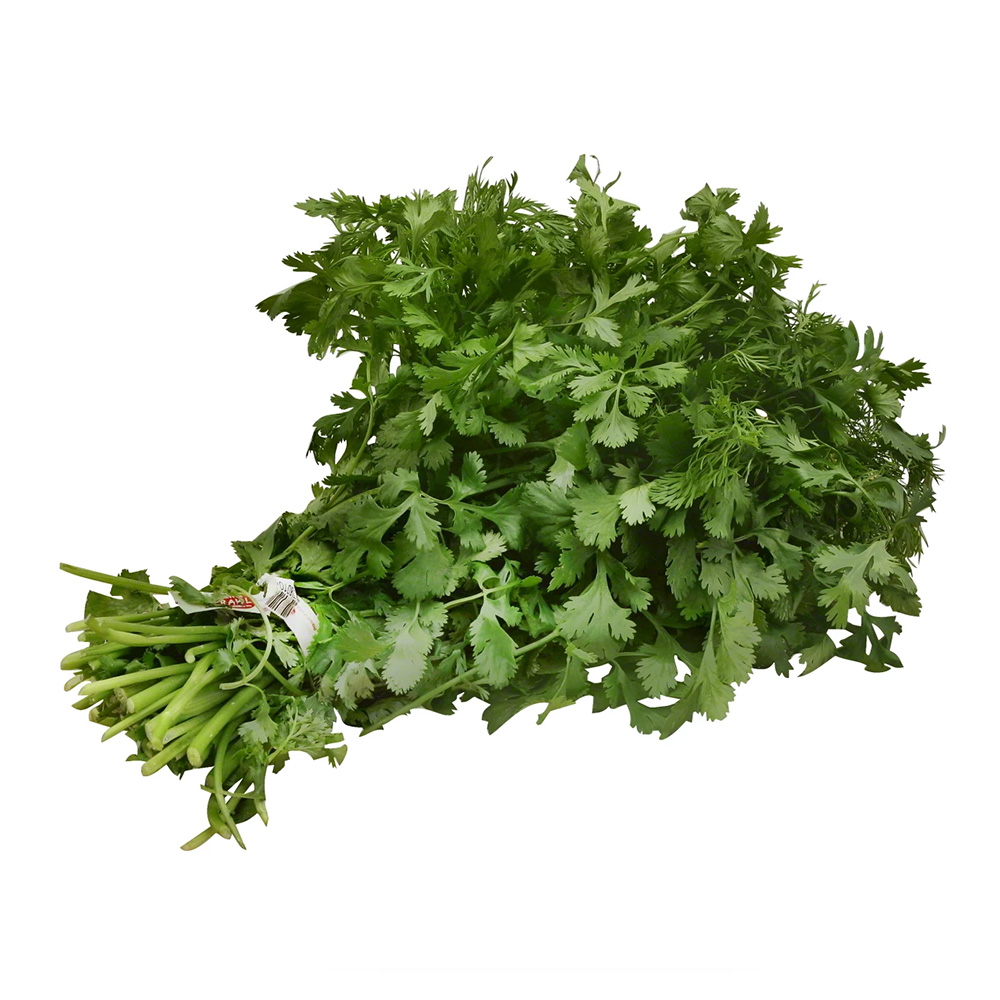 Coriander Leaves