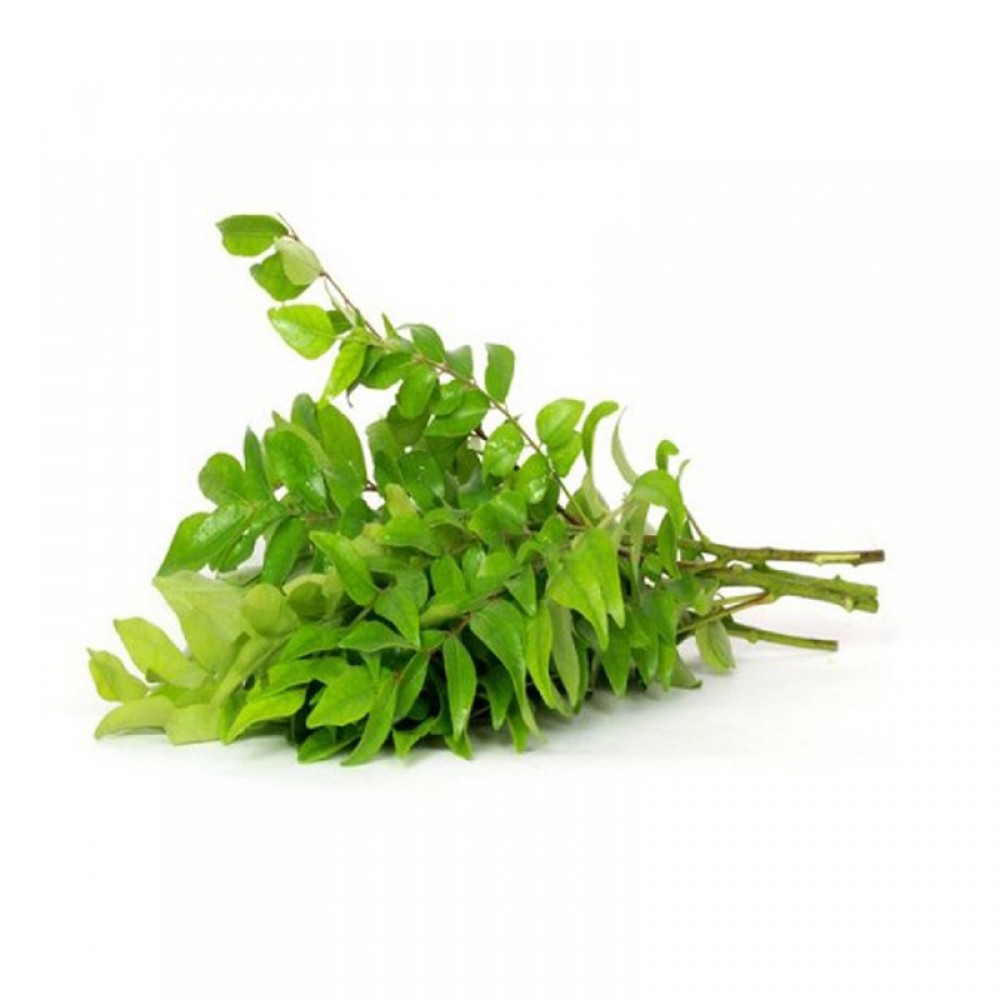 Curry Leaves (Big Bunch)