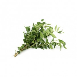 Curry Leaves (Big Bunch)