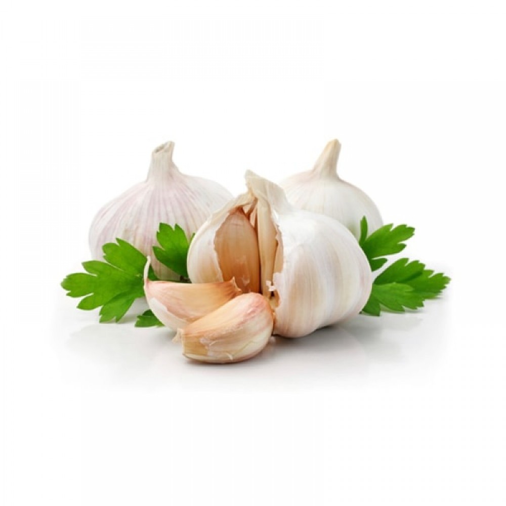 Garlic