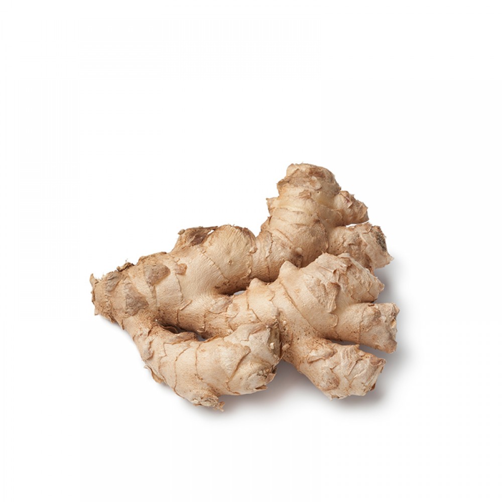 Ginger