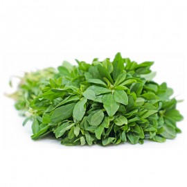 Methi Leaves (Fenugreek)