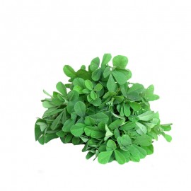 Methi Leaves (Fenugreek)