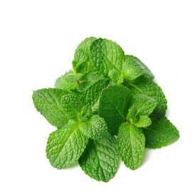 Mint Leaves